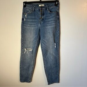 Anthropologie Unpublished Blue Ankle Cropped‎ Distressed Jeans